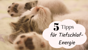 5 Tipps für guten Schlaf