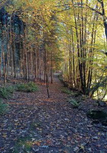 IMG_20221007_073425